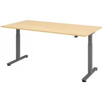 XMST 2E G | 200x100 | Schreibtisch elektrisch höhenverstellbar - Ahorn 200 x 100 elektrisch höhenverstellbar