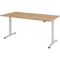 XMST 2E S | Schreibtisch - 200 x 100 Asteiche elektrisch höhenverstellbar