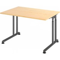 ZENO 12 G | Schreibtisch - 120 x 80 höhenverstellbar Ahorn/Graphit