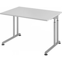 ZENO 12 S | Schreibtisch - 120 x 80 Grau/Silber höhenverstellbar