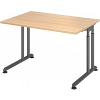 ZENO 12 G | Schreibtisch - 120 x 80 höhenverstellbar Eiche/Graphit