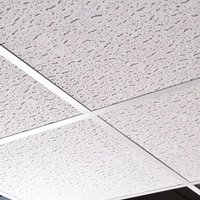 Building Materials Enjoy 17% Discount on Zentia Armstrong Fission Ceiling Tiles Pack of 10