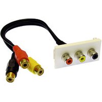 3x RCA Phono Faceplate Module Audio Video