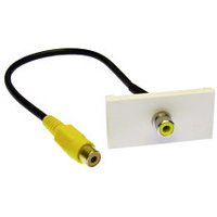 Single RCA Phono Faceplate Module