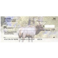 Elk in the High Country