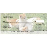House Cats, the Kittens Personal Checks