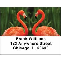 Flamingos Address Labels