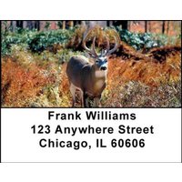 Deer Address Labels