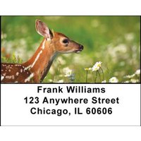 Deer Fawn Address Labels