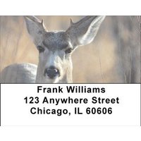 Deer in Four Seasons Address Labels
