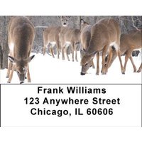 Deer in Winter Address Labels