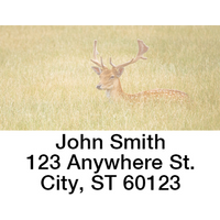 Deer in the Wild Address Labels