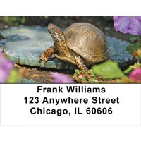 Box Turtles Address Labels