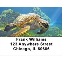 Swimming Sea Turtles Address Labels