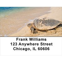 Sea Turtles Address Labels