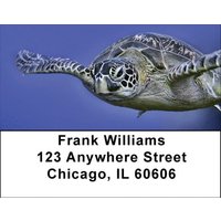 Sea Turtles Under Water Address Labels