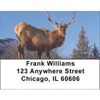 Elk Address Labels