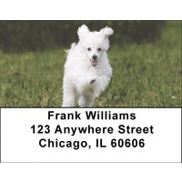 Mini Poodle Address Labels