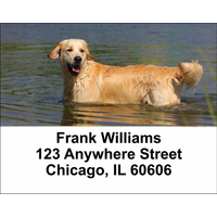 Golden Retriever Address Labels