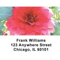 Flowers Address Labels