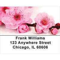 Blossoms In Pink and Blue Address Labels