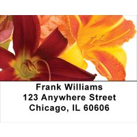 Day Lilies Address Labels