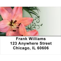 Day Lilies Delight Address Labels