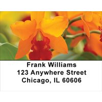 Tropical Orchids Address Labels