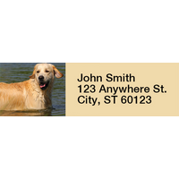 Golden Retriever Rectangle Address Labels