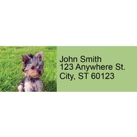 Yorkies Rectangle Address Labels