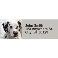 Dalmatians Rectangle Address Labels