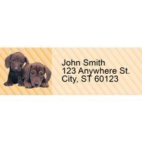 Dachshunds Pups Keith Kimberlin Address Labels