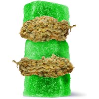 Delta 8 + Live Resin Gummies - 100mg - Jack Herer - Sativa (3,000mg)