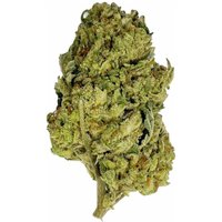 Blue Zlushie Flower - Hybrid - THCA