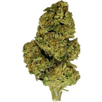 PBJ Flower - Hybrid - THCA