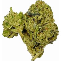 Cereal Milk Flower - Hybrid - THCA