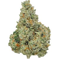 Jet Fuel Gelato Flower - Sativa - THCA