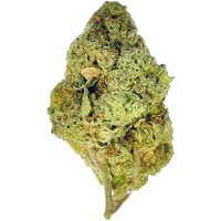 Durban Poison Flower - Sativa - THCA