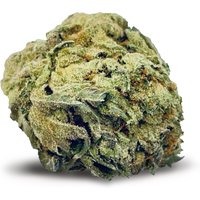 Rebel Runtz Flower - Indica - THCA