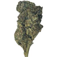 Gusher Cake Flower - Hybrid - THCA