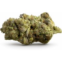 Black Runtz Flower - Hybrid - THCA