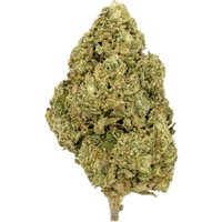 Cadillac Rainbow Flower - Hybrid - THCA