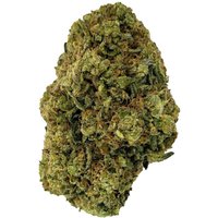 Secret Breakfast Flower - Hybrid - THCA