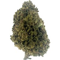 Cotton Candy Flower - Hybrid - THCA