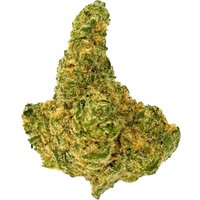 Hammerhead Flower - Indica - THCA