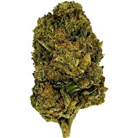 OG Plus (O+) Flower - Hybrid - THCA