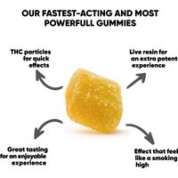 D8, D9, THCP, Live Resin Gummy Pouch - 500mg - Beast