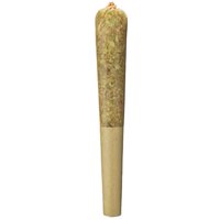 Lemon Skunk Mini Pre-Roll - Hybrid - 0.5g - THCA - 5 Joints