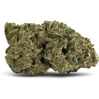 Beach Wedding Flower - Hybrid - THCA
