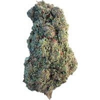 Frosted Mac Flower - Hybrid - THCA